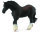 SHIRE HORSE MARE - BLACK