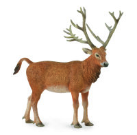 PÈRE DAVIDS DEER