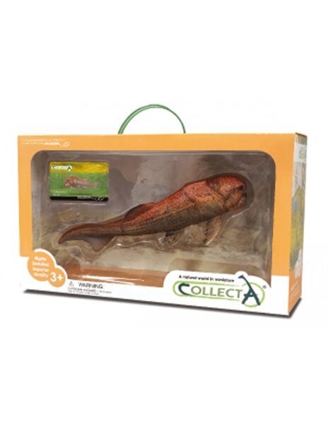 DUNKLEOSTEUS 1:20 DELUXE, WINDOW BOX