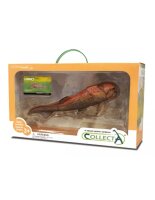 DUNKLEOSTEUS 1:20 DELUXE, WINDOW BOX