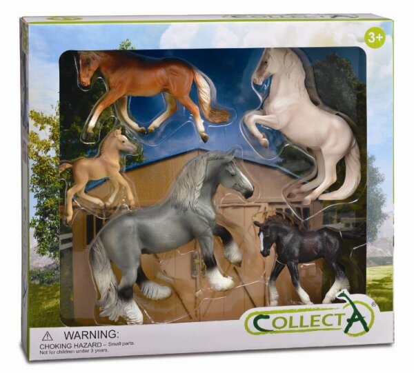 * 5 ST PFERDE LEBEN SET BOX
