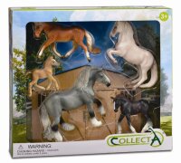 * 5 ST PFERDE LEBEN SET BOX