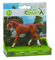 1 ST PFERDE SET PLATFORM