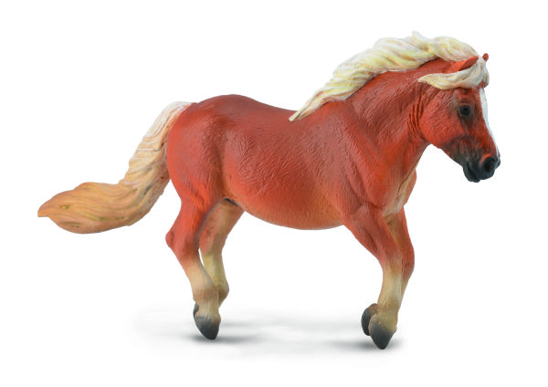 *SHETLAND PONY CHESTNUT