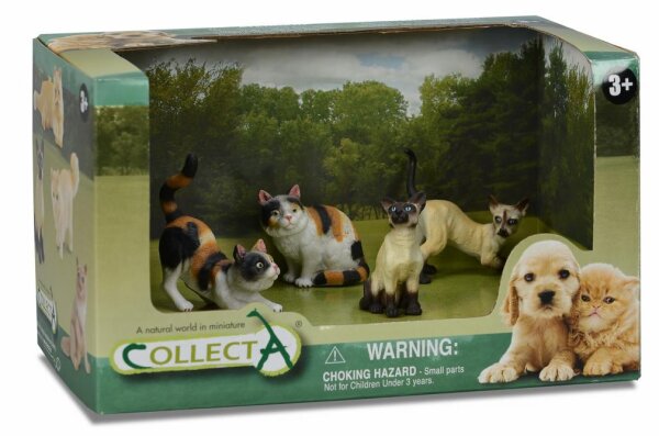 * 4 ST HUNDE UND KATZEN SET OPEN BOX