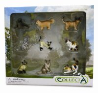 * 9 ST HUNDE UND KATZEN SET WINDOW BOX