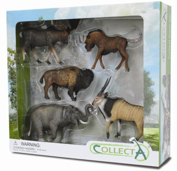 * 5 ST WILDLEBEN SET WINDOW BOX