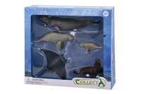 * 5 ST MEERESLEBEN SET WINDOW BOX