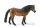 EXMOOR PONY HENGST (L)