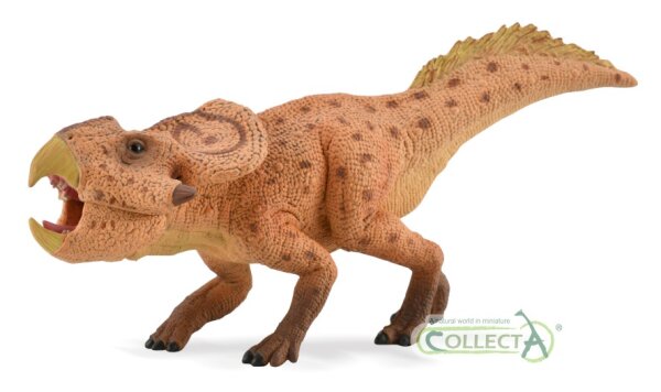 PROTOCERATOPS MIT BEWEGLICHEM KIEFER, 1:6 (DELUXE)