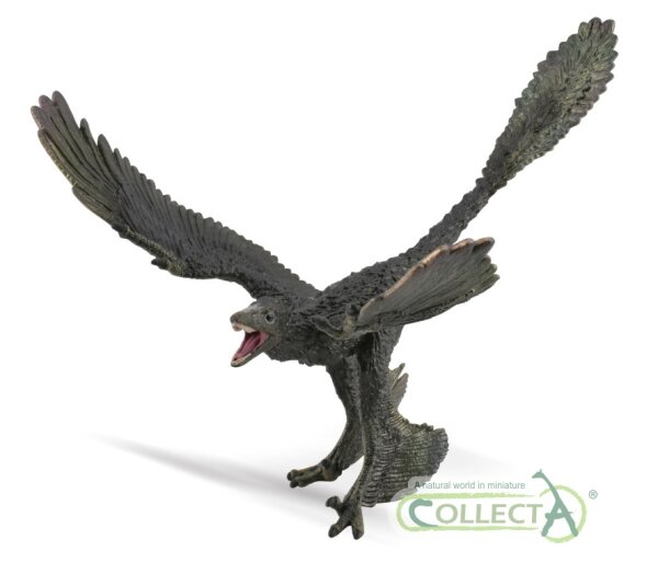 MICRORAPTOR (XL)