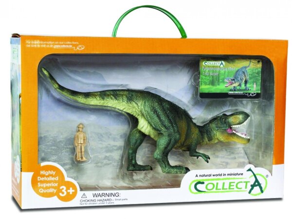 TYRANNOSAURUS REX 1:40 DELUXE, WINDOW BOX