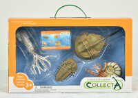 PRÄHISTORISCHE MEERESKREATUREN, WINDOW BOX