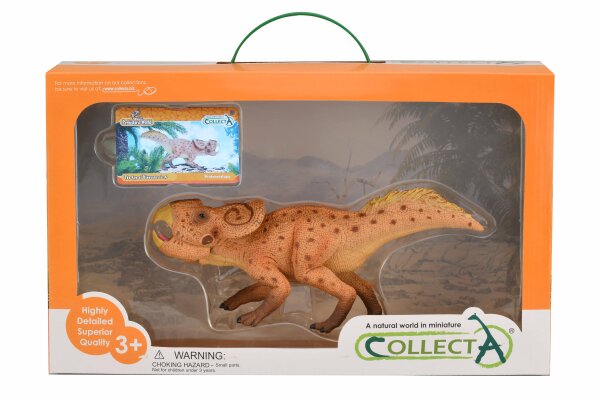 PROTOCERATOPS - DELUXE WINDOW BOX