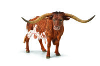 TEXAS LONGHORN STIER (XL)
