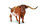 TEXAS LONGHORN STIER (XL)