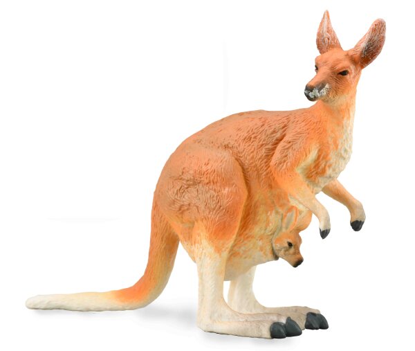 RED KANGAROO - FEMALE WITH JOEY
