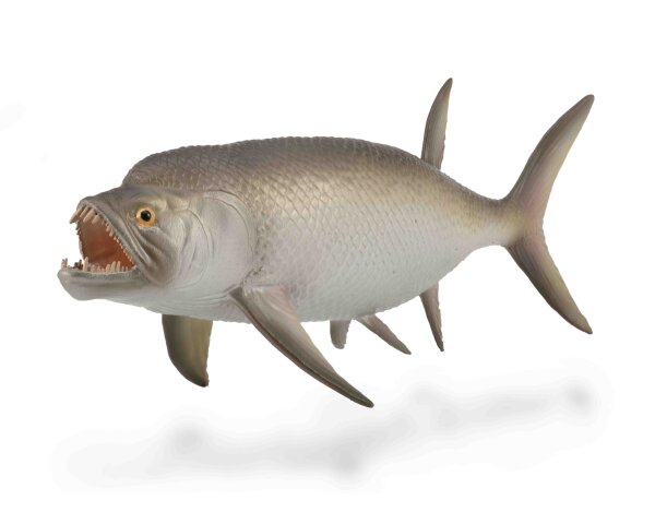 XIPHACTINUS 1:40 (L)