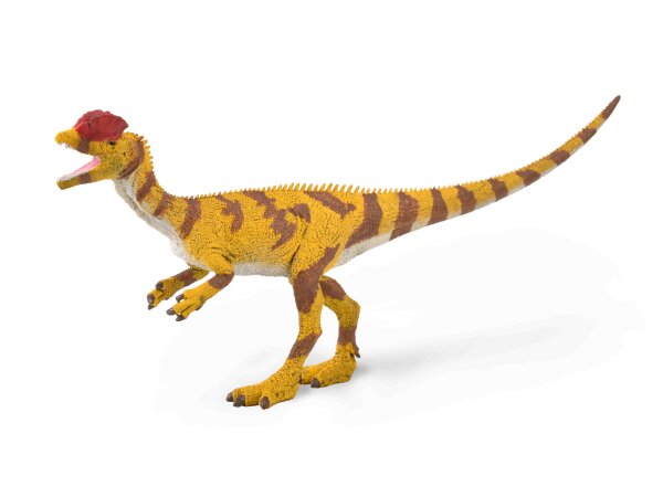 DILOPHOSAURUS (L)
