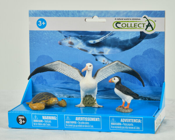 3 ST MEERESLEBEN SET, PLATTFORM