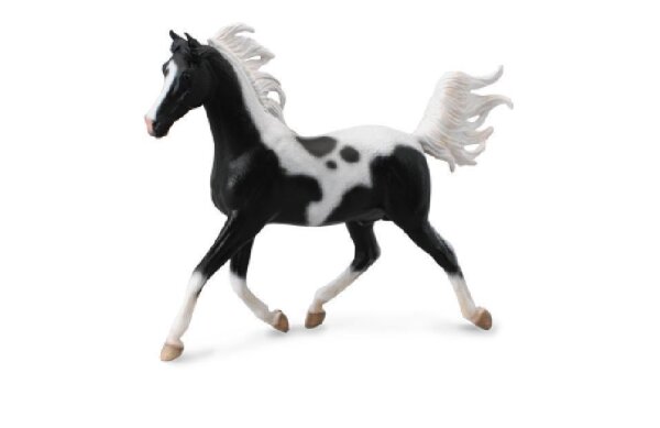 * HALB ARABER HENGST PINTOFARBEN 1:12 DELUXE, WINDOW BOX