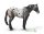 APPALOOSA HENGST BLUE ROAN (XL)