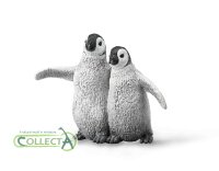 KAISERPINGUIN KUEKEN (M)