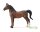 AMERICAN SADDLEBRED HENGST DUNKELFUCHS (XL)