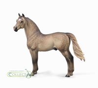 MORGEN HENGST - SILVER GRULLA (XL)