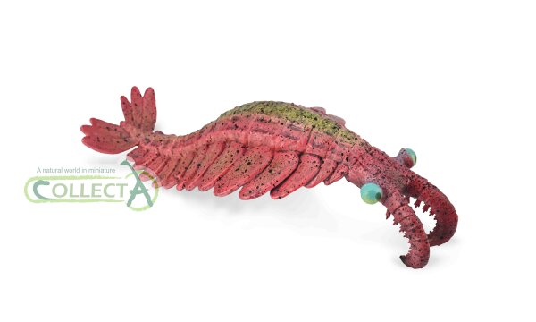 ANOMALOCARIS (L)