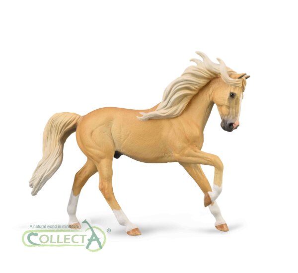 ANDALUSIAN HENGST - PALOMINO (XL)